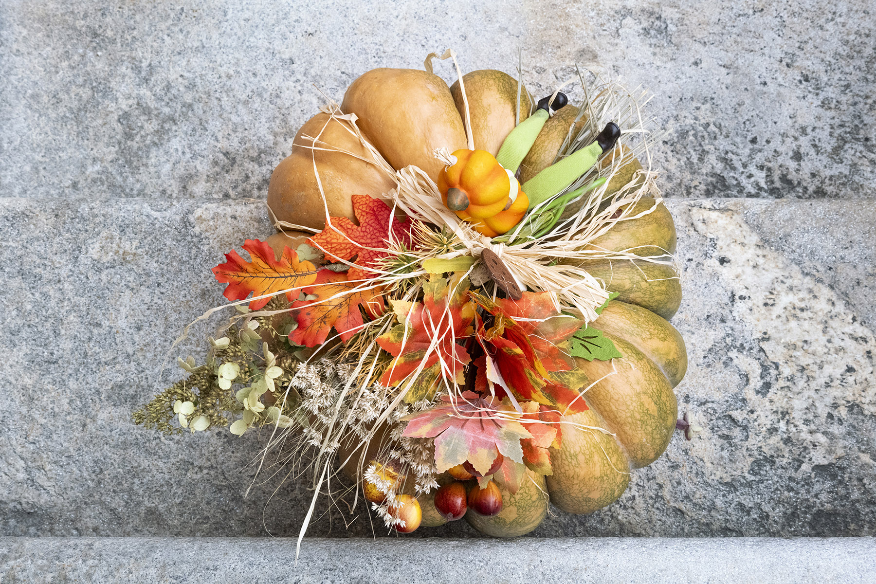 Santa Maria Maggiore - Fuori di zucca - ph. Susy Mezzanotte
